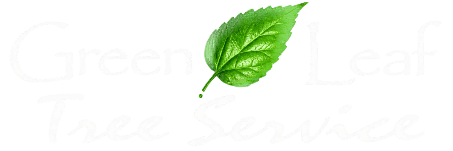 Green Leaf Tree Service