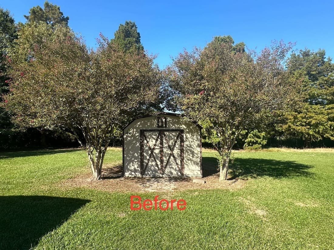 service single images